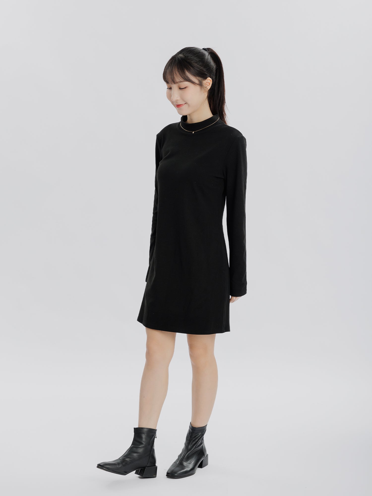 Reverie Long Sleeve Turtleneck Dress